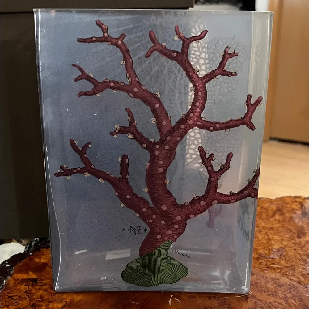 Fringe Studio Coral Rhino Transferware Rectangular Glass Vase